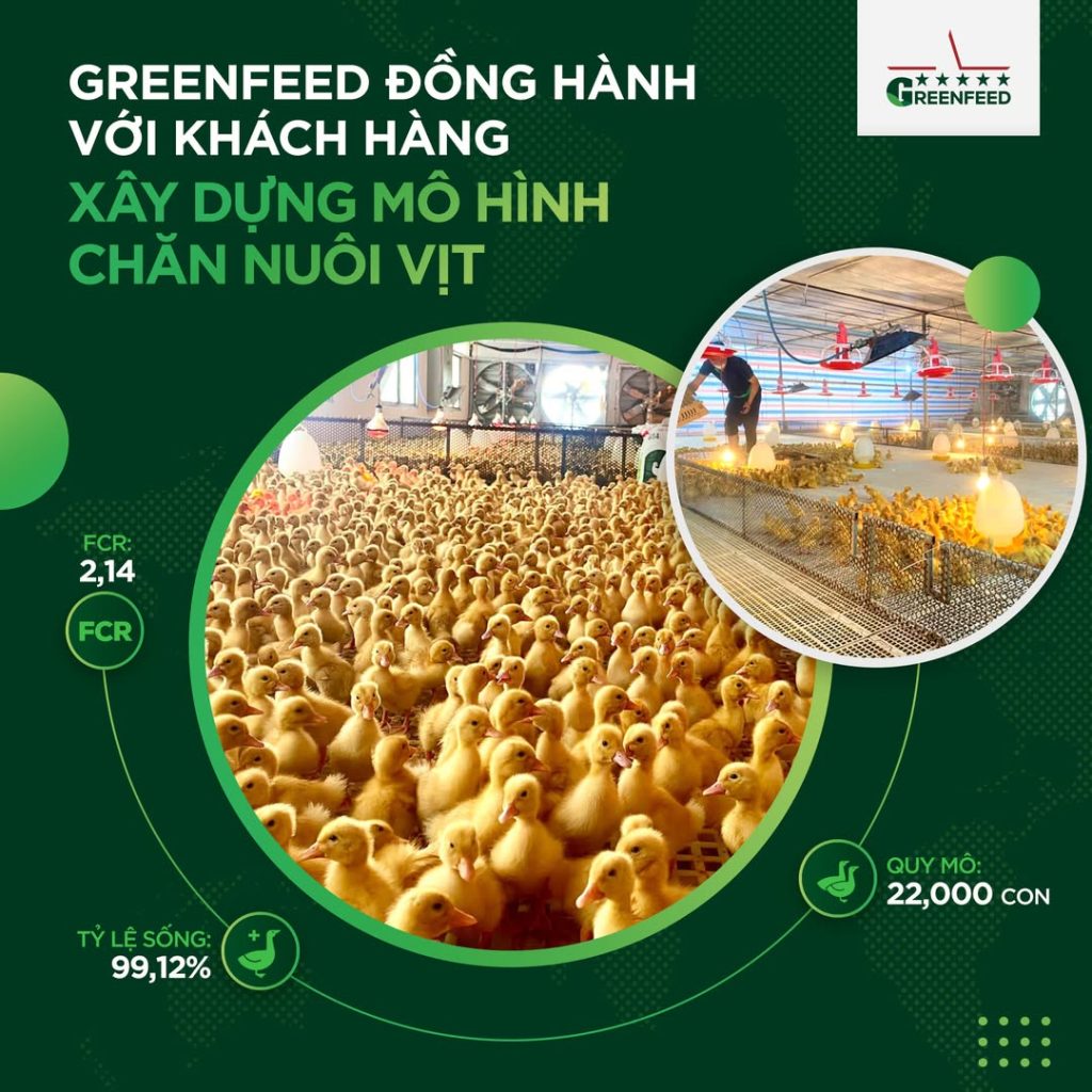GREENFEED VIỆT NAM